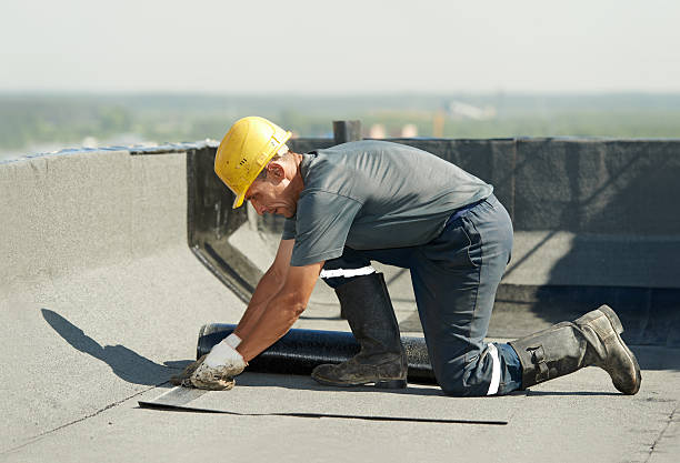 Best Cellulose Insulation in Oak Harbor, WA